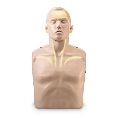 BRAYDEN - manekin BLS/AED + wskaźniki LED